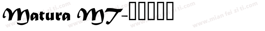 Matura MT字体转换
